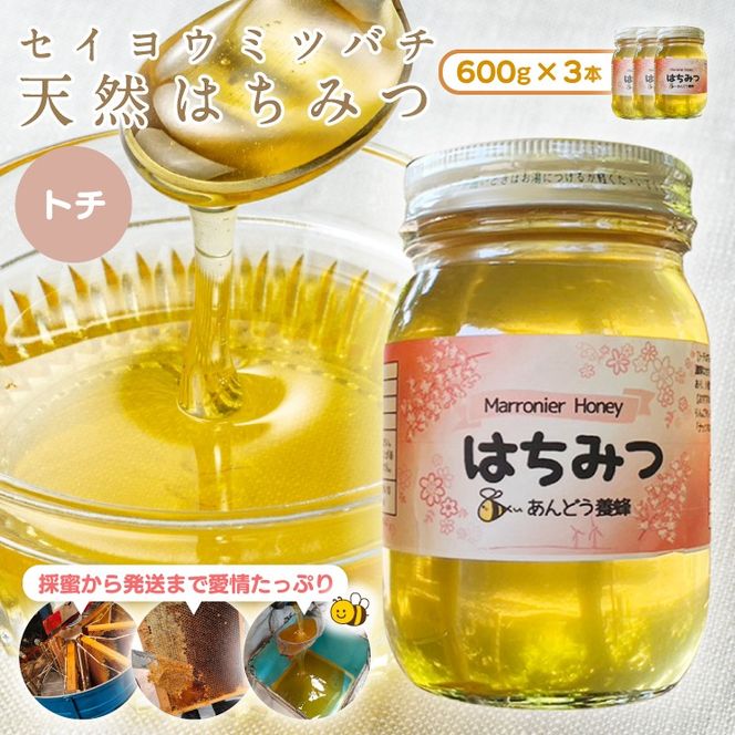 天然はちみつ トチ 600g×3本  蜂蜜 ハチミツ ハチ蜜 鳥取県産◇日本全国配送可能  お申し込みから14日以内に発送