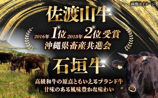 【全6回定期便】沖縄ブランド牛を堪能！贅沢お肉定期便【沖縄市】牛肉 和牛 サーロインステーキ 焼肉 赤身 沖縄市 / 肉のサブロー / お肉屋本店[BCZZ028]