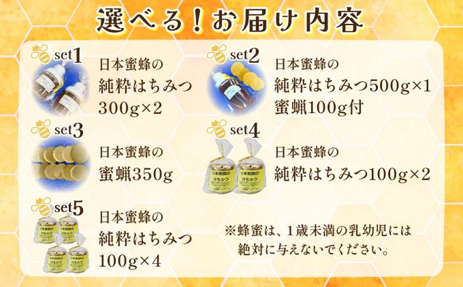 【内容量が選べる】日本蜜蜂の純粋はちみつ 200g～600g または 日本蜜蜂の蜜蝋 350g