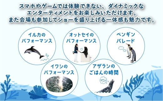 登別マリンパークニクス 入場券年間パスポート 大人・子ども 各1名 【 チケット 北海道 観光 旅行 体験 パーク 入場券 入園券 割引 北海道 水族館 動物園 イルカ アシカ ペンギン パレード】mr-0895_96