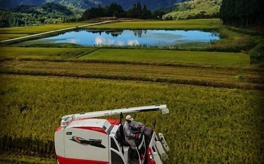 【令和7年産米】 こしいぶき 白米5kg（5kg×1） 新潟県村上市岩船産　1067101