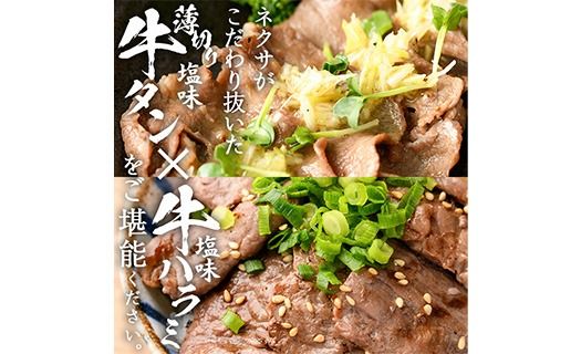 ＜定期便・全12回 (毎月の発送)＞ たっぷり！ 薄切り 塩 牛タン・牛ハラミ セット (総量14.4kg) 小分け 牛肉 肉 タン たん ハラミ はらみ 詰め合わせ 味付け 焼肉 BBQ 冷凍 大分県 佐伯市【DH332】【ネクサ】