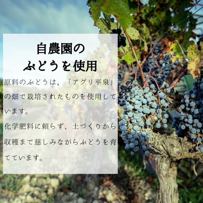 平泉ワイン　Ora　<<オラ>>　3種ハーフセット　375mL　3本セット　お酒 酒 アルコール 白ワイン 赤ワイン 白 赤 国産 宅飲み 飲み比べ ギフト 岩手県 平泉町 【mih-wine-004】