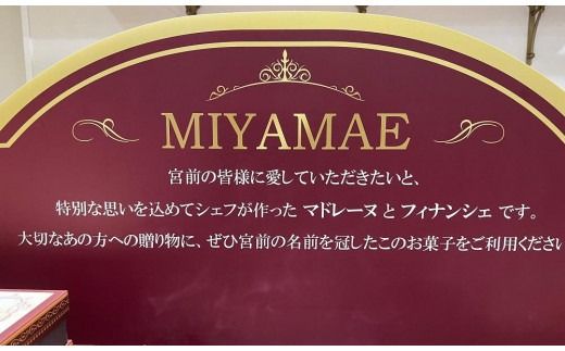 宮前ギフト大（マドレーヌ・フィナンシェ各6個（計12個））