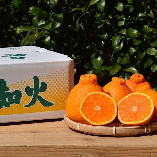 【まごころ手選別】和歌山産　有田の不知火(しらぬひ)約4kg(サイズ混合)【家庭用】 ※2026年2月上旬～4月下旬頃に順次発送予定