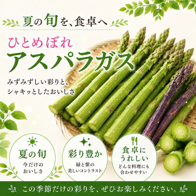 夏限定 ひとめぼれアスパラガス 1kg グリーン パープル ミックス 産地直送 農家直送 夏野菜 朝採れ 新鮮 旬 アスパラ シャキシャキ サラダ バーベキュー BBQ お弁当 肉巻き おすそ分け ファミリー 大容量 ギフト 送料無料
