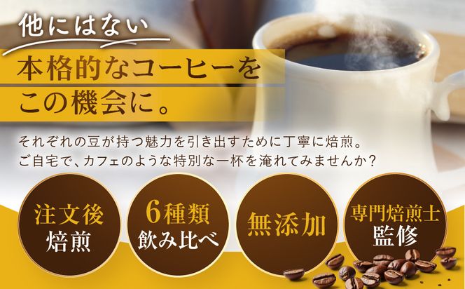 [豆]コーヒー豆 100g×6種類セット 合計600g 注文後焙煎 272183_BG426