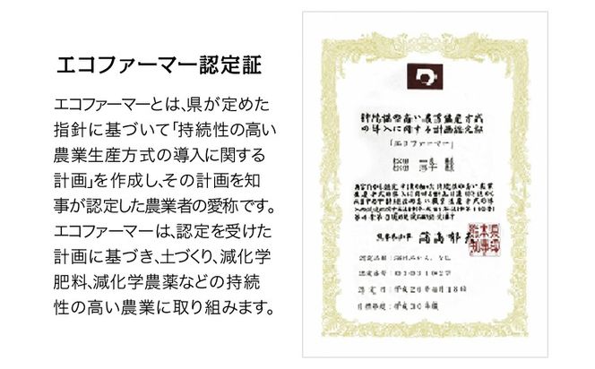 『松田農園』のみかん たっぷり 約3kg(S-2Lサイズ) フルーツ 秋 旬 熊本県 玉名郡 玉東町 松田農園 手間暇かけたこだわりのミカン【日付指定不可】《11月上旬-12月下旬頃出荷》---sg_mtdmikan_ak11_24_10000_3kg---