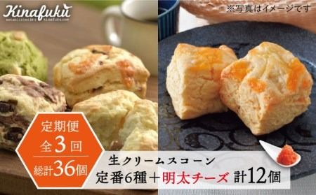 [全3回定期便] 定番 スコーン + 明太 チーズ スコーン 計 12個 セット 糸島市 / スコーン専門店キナフク 焼き菓子 焼菓子 洋菓子 スイーツ パン [AFA024] 洋菓子 焼き菓子 卵不使用 スコーン お菓子 自宅用 個包装 セット 詰め合わせ