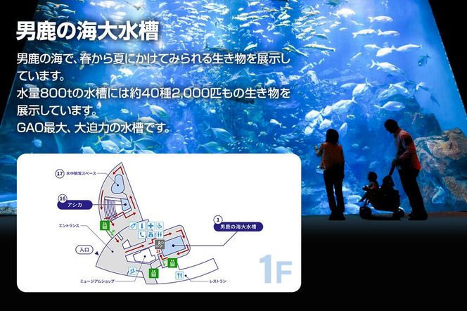 男鹿水族館GAOペア入館券 2名分 秋田県 ガオ 日本海 ペア 利用券 入場券 [水族館 秋田 男鹿 男鹿半島 男鹿温泉 シロクマ しろくま 白くま 豪太 モモ太 ガオ]|23_ogs-010201