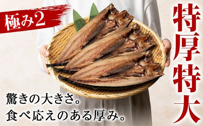 最高賞グランプリ受賞商品！至高の極干　特大真ほっけ　2枚　SH005