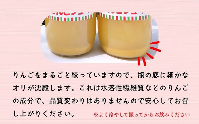 【果汁100%】りんごジュース 1L×6本 （At-002）