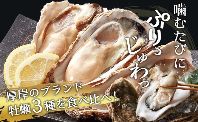 北海道 牡蠣 3種 食べ比べ セット 厚岸オイスター★オールスターズ 生食 生牡蠣 貝付き牡蠣 貝 海鮮 魚介類 殻付き牡蠣 カキ 