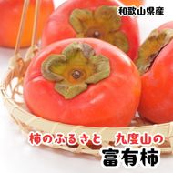 ［秋の美味］［九度山ブランド］柿のふるさと九度山の濃厚 富有柿 秀品 24～32玉(約7.5kg入り)　3L～Lサイズ（いずれか） ［MS152］ 303446_XD90304