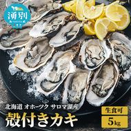 北海道 オホーツク サロマ湖産 殻付き カキ 生食可 5kg 牡蠣職人厳選 牡蠣 国産 貝付き 魚貝類 生牡蠣 ノロウイルス検査実施 海のミルク 海鮮 海の幸 つまみ 晩酌 お酒のあて 