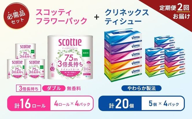 【 6ヶ月ごと計 2回お届け 】ティッシュ クリネックス 5箱入 × 4パック トイレットペーパー スコッティ ダブル 3倍長持ち 4ロール入 × 4パック フラワーパック