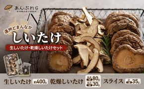 【遠州どまんなかしいたけ】 生しいたけ・乾燥しいたけセット (生しいたけ 約400g , 乾燥しいたけ　丸大 80g1袋 丸小 30g1袋 , スライス 小35g2袋)　干し椎茸 産地直送 国産 料理 素材 出汁 日本料理 就労支援 福祉 静岡 袋井