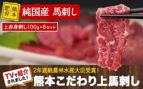 上赤身馬刺し100g×6セット(10ml×6袋)《90日以内に出荷予定(土日祝除く)》熊本県 玉名郡 玉東町 馬刺し 国産 赤身 送料無料 肉 タレ付き 600g 牛肉よりヘルシー---gkt_fkgakm_90d_20000_600gt---