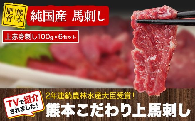 上赤身馬刺し100g×6セット(10ml×6袋)《7月中旬-9月末頃出荷》熊本県 玉名郡 玉東町 馬刺し 国産 赤身 送料無料 肉 タレ付き 600g 牛肉よりヘルシー---gkt_fkgakm_bc79_20000_600gt---