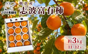 柿 志波 富有柿 約3kg 11～12玉 果物類 かき 