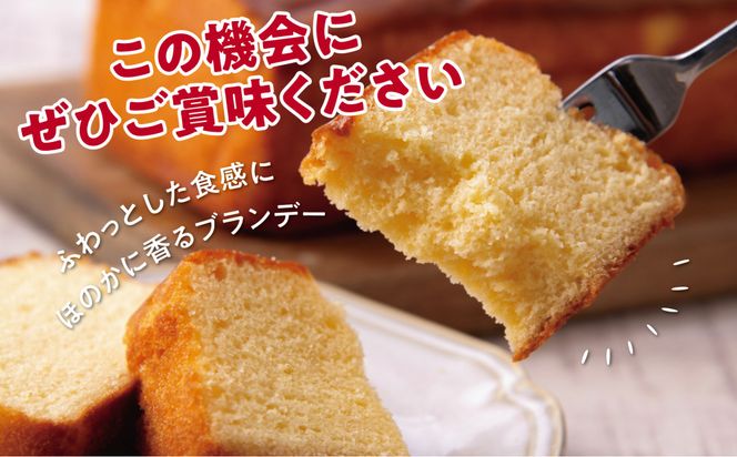 鳥取ブランケーキ 312011_EQ002