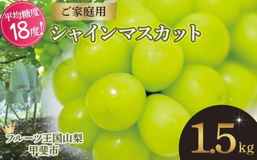 [2025年/令和7年発送分]ご家庭用 シャインマスカット 約1.5kg 先行予約 山梨県産 産地直送 フルーツ 果物 くだもの ぶどう ブドウ 葡萄 シャイン 新鮮 人気 おすすめ 国産 不揃い 訳あり わけあり ワケアリ 糖度18〜糖度20度 甲斐市 山梨 AN-130