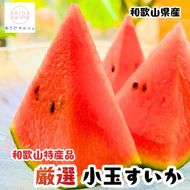 ［先行予約 2027年6月発送］厳選 小玉すいか Mサイズ／2玉入り［農家直送］［先行予約］［和歌山県産］［MS127］ 303446_XD90053