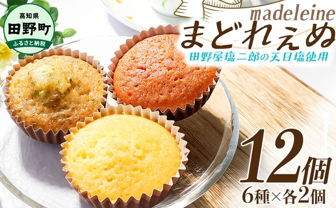 まどれぇぬ マドレーヌ 12個入り(6種×各2個) 田野屋塩二郎の天日塩使用 取り寄せ スイーツ デザート 完全天日塩 おやつ お菓子 洋菓子 焼き菓子 プレゼント 個包装 お取り寄せスイーツ 配送 高知 返礼品