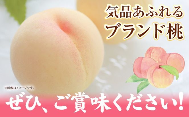 【2027年発送先行予約】清水白桃 先行予約 清水白桃 約1.3kg（5玉） 《2027年7月下旬-8月上旬頃出荷》 桃 清水白桃 白桃 晴れの国おかやま館 フルーツ 果物 果実 岡山県 笠岡市---B-56f---