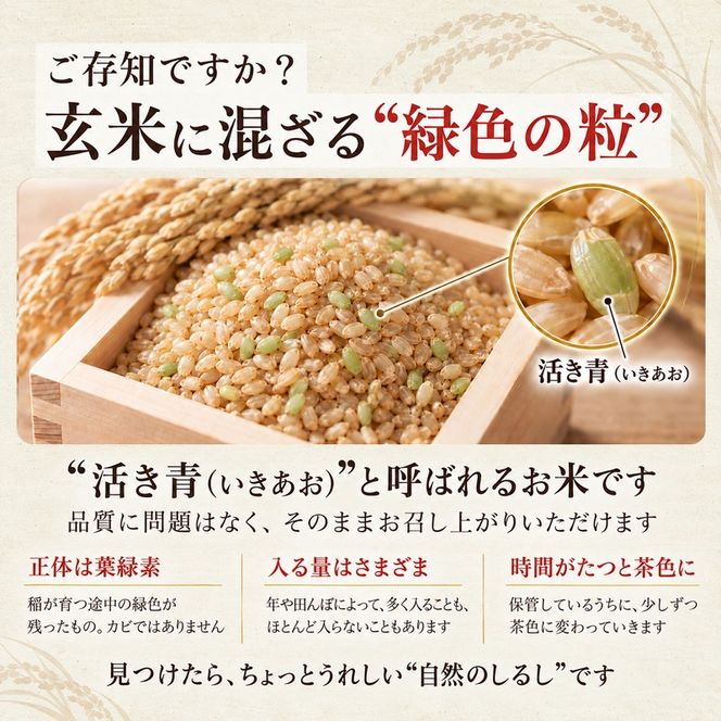 米 お米 コシヒカリ 香川県産 令和8年産 10kg 玄米 再生二期作米 二期作 水主地区 エコファーマー 20年以上 有機肥料 堆肥 こだわり ご飯 主食 こしひかり ライス 食卓 家庭用 自宅用 お取り寄せ 間嶋農園 香川県 東かがわ市 46312469