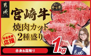 畜産農家応援! 宮崎牛焼肉2種セット500g×2パック_AC-N204