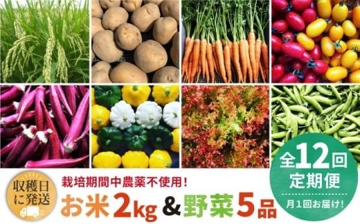 yszyS12ցzy͔|Ԓ_sgpIz  2kg &  5i  Zbg s / I[KjbNiK~ct@[  [AGE038]