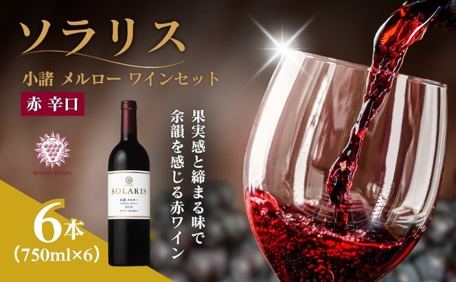 ワイン 信州ワイン 赤 ソラリス 小諸 メルロー ワインセット 750ml×6本 マンズワイン 酒 お酒 洋酒 果実酒 ぶどう酒 長野 長野県 小諸市