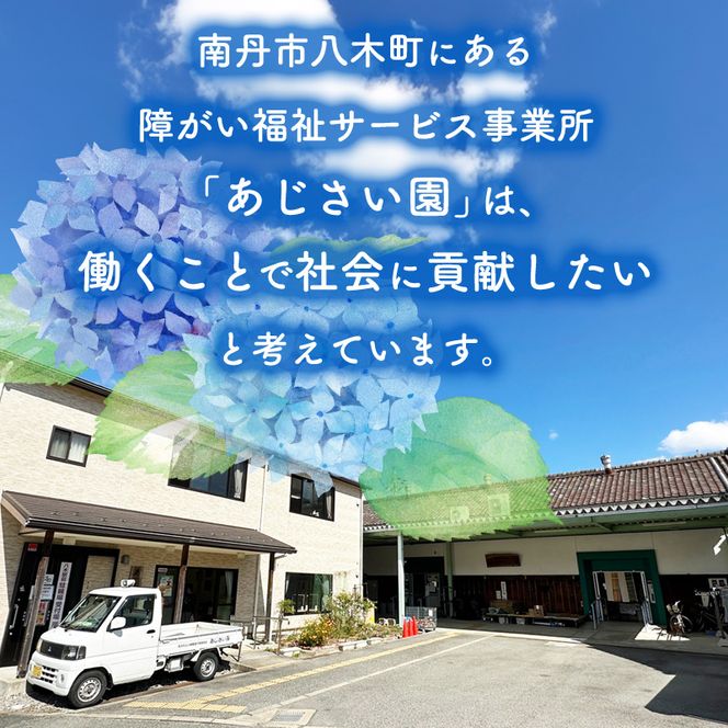 【定期便6回】「出番です」トイレットペーパー 12ロール 個包装 ストック 備蓄 防災対策 肌に優しい エンボス加工