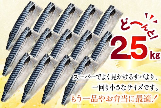 訳あり 減塩 フィレ Sサイズ 総重量 2.5kg [足利本店 宮城県 気仙沼市 20565959] 魚介類 魚 大容量 サバ さば 鯖 塩分控えめ 切り身 冷凍 訳アリ