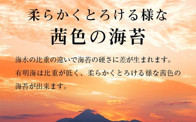 訳あり 有明海産 焼き海苔 2切10枚×10袋（100枚分）福岡有明のり 海苔 のり 有明海苔 有明 福岡県 福岡 九州 グルメ お取り寄せ
