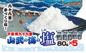 山武の海の塩８０ｇ×５個パック　SMCI002