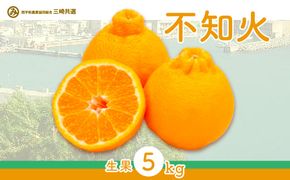 【先行予約】不知火（生果5kg）※離島への配送不可（2027年2月上旬～2月下旬頃より順次発送予定） IKTBD011