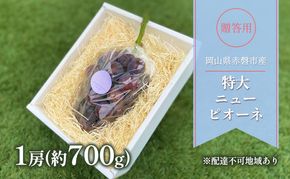 ぶどう 2026年 先行予約 贈答用 特大 ニューピオーネ 1房(約700g) ブドウ 葡萄 岡山県 赤磐市産 フルーツ 果物 ギフト 
