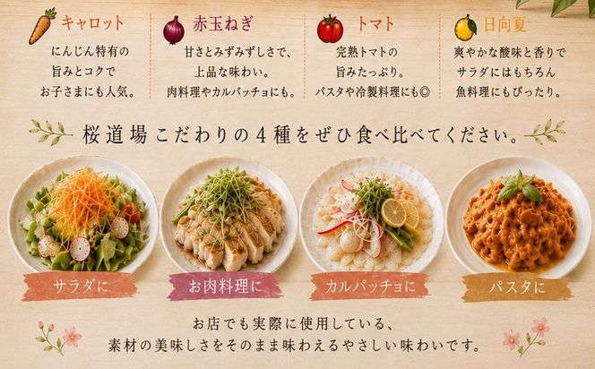 【A9-071】彩り野菜のドレッシング