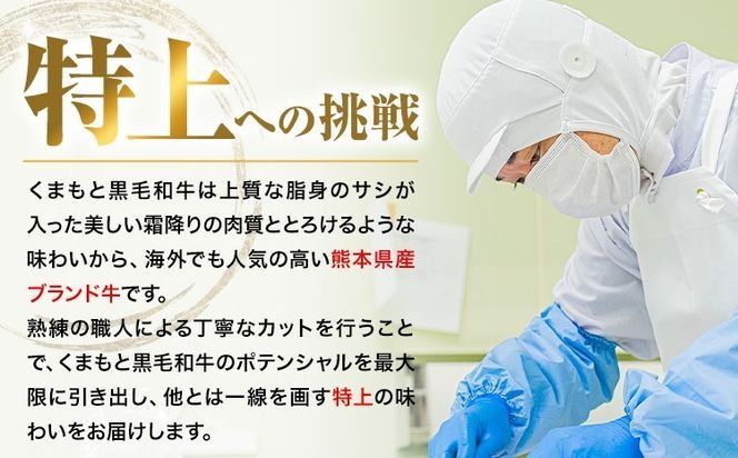 くまもと黒毛和牛 ウデ・モモスライス 選べる 500g 1000g 1500g 2000g 牛肉 冷凍 《30日以内に出荷予定(土日祝除く)》 くまもと黒毛和牛 黒毛和牛 冷凍庫 個別 取分け 小分け 個包装 モモ スライス 肉 お肉 しゃぶしゃぶ肉 すきやき肉 すき焼き---oz_fudmm_30d_r7_11000_500g---
