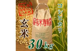 令和７年度産新米 伊賀産 コシヒカリ 30kg 玄米 242161_CS024