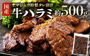 ヤマジュウの特製タレ漬け！牛ハラミ肉５００ｇ　yj061