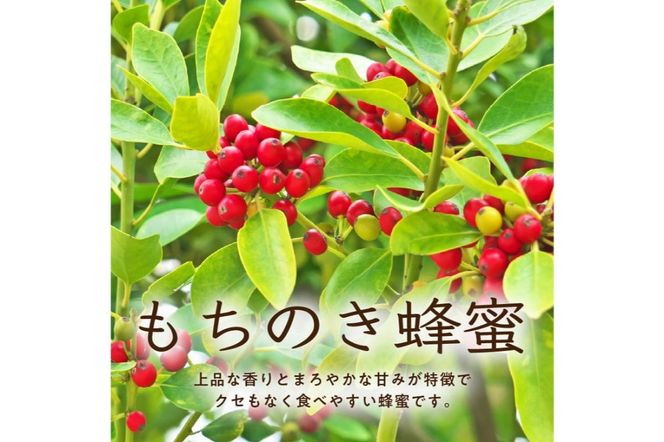 DOALA HONEY　国産純粋はちみつセット　もちのき蜂蜜・そよご蜂蜜【中日ドラゴンズコラボ】 【0086-004】