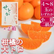 ［2箱セット］ちょっと 傷あり ハーフ 化粧箱 柑橘の大トロ ハウス せとか 4 ～ 8玉入 × 2箱 南泰園 BS169