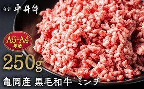 数々の誉れに輝く最高峰 黒毛和牛「平井牛」A5・A4 ミンチ 250g 京都 丹波牧場 自家産≪希少 和牛 京都肉 冷凍 ふるさと納税 牛肉≫