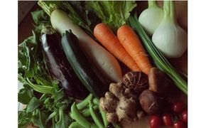 【土佐野菜】旬の野菜の詰め合わせと栽培期間中に農薬不使用の生姜100g付き【土佐市】【株式会社SIMA】 [BQAZ001]
