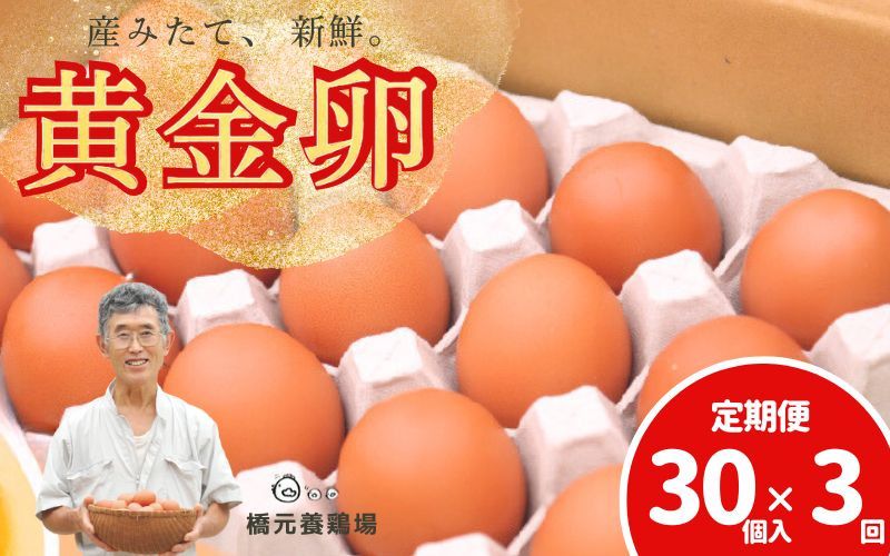卵 [定期便]産みたて新鮮卵 30個入り 3か月 定期便 | 卵 たまご 玉子 鶏卵 新鮮 濃厚 生卵 赤玉たまご 目玉焼き オムレツ 健康 産地直送 ※沖縄・離島への配送不可[aubless023]