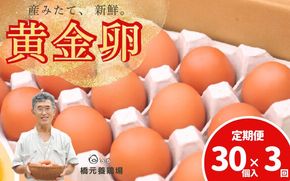 卵 【定期便】産みたて新鮮卵 30個入り 3か月 定期便 | 卵 たまご 玉子 鶏卵 新鮮 濃厚 生卵 赤玉たまご 目玉焼き オムレツ 健康 産地直送 ※沖縄・離島への配送不可【aubless023】 