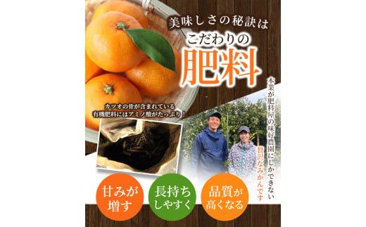 [和歌山県産] 旬をお届け！ 季節の「 温州 みかん 」 2kg ※箱込み 秀品 (極早生・早生・中生・晩稲)【M~2Lサイズおまかせ】【2025年10月中旬～2026年2月下旬までに順次発送】＜味好